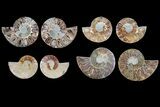 Lot: - Cut Ammonite Pairs (Grade B) - Pairs #81277-2